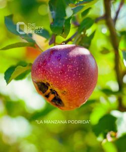 blog la manzana podrida