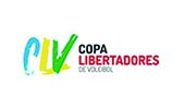 copa libertadores